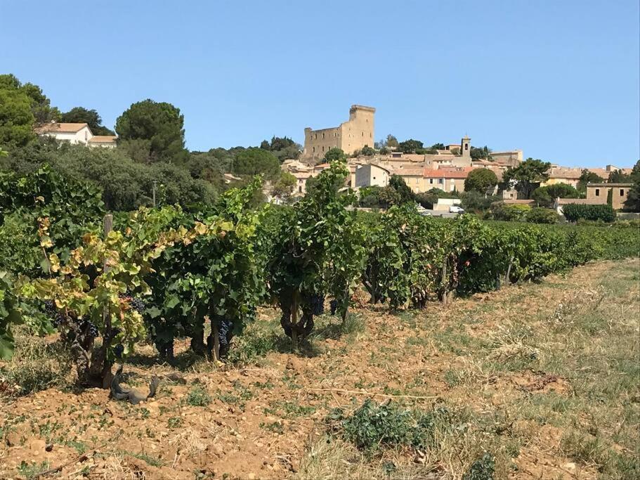 Gites En B&B Le Clos De La Cerise Châteauneuf-du-Pape Dış mekan fotoğraf